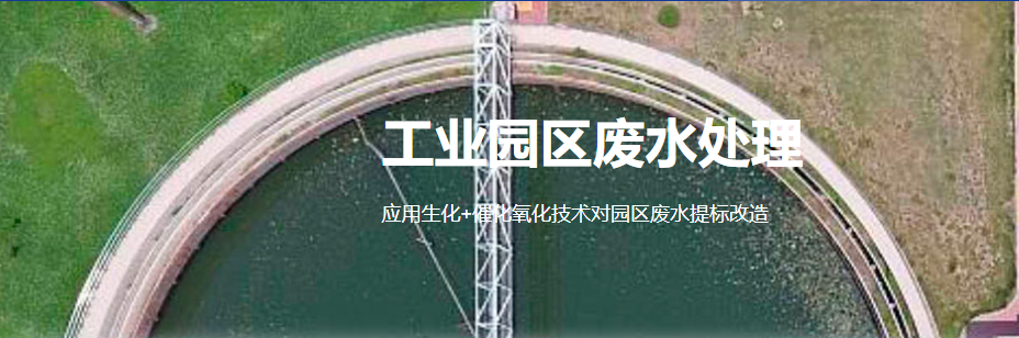 广告2